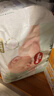 好奇（Huggies）小森林纸尿裤XL32片(12-17kg)尿不湿心钻【透氧顶配更0痕】 实拍图