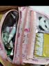 舒星笔袋女小马小学生高颜值大容量文具盒铅笔袋女生女孩多功能卡通可爱初中创意文具袋新款多功能 实拍图