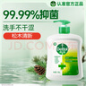 滴露（Dettol）洗手液松木500g瓶 健康抑菌消毒非补充装 儿童家庭用清爽去油 实拍图