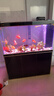 森森（SUNSUN）大型鱼缸底过滤水族箱客厅家用落地玻璃生态金鱼缸 【实时温显+灯控】经典黑 1.2米长35cm宽 实拍图
