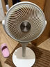 格力（GREE）【织风者青春版】一级能效直流变频轻音空气循环扇家用遥控电风扇香薰循环扇 FXDZ-20X81Bg5 实拍图