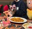 果思萌 宠物狗狗生日猫咪蛋糕手工自制泰迪金毛柯基宠物零食定制含头像 4寸鸡肉（含头像） 实拍图