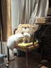 华元宠具（hoopet）猫窝保暖封闭式安全感小猫躲避屋宠物窝冬天猫窝冬季猫屋猫咪床垫 实拍图