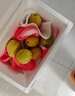 京鲜生 广东树熟奶油红心芭乐 净重2.5斤单果130g+番石榴源头直发包邮 实拍图