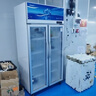 星星（XINGX）展示柜冷藏保鲜柜 双开门立式冰柜饮料柜商用冰箱冷柜风直冷麻辣烫超市便利店蔬菜水果啤酒酒水柜 530升 双门风循环 LSC-518Y 实拍图