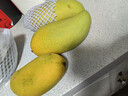 译优农正宗海南芒果三亚金煌芒新鲜热带水果当季水仙特大甜心芒特产送礼 8斤果王【单果500g+】礼盒装 实拍图