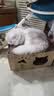 靓贝猫粮 全价全阶段益生臻选通用猫粮幼猫成猫粮 1.5kg 实拍图