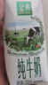 伊利【新鲜日期】金典纯牛奶早餐奶整箱250ml*16盒 3.6g乳蛋白 礼盒装 实拍图