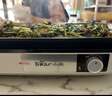 小熊（Bear）烤肉锅电烤盘 家用电烧烤炉 电烤炉多功能锅烤串烤肉一体不沾烤串机可拆烧烤炉DKL-H21P1 实拍图