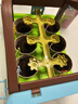 iosn阳光房种植儿童玩具材料包植物观察迷你种植花园房科学小实验套装 单层阳光房-6包种子+工具 观察植物生长丨感受大自然的美 实拍图