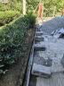 小甄菌鲜羊肚菌海参玛咖灵芝四拼礼盒155g山珍海味送长辈父母滋补中秋礼品 实拍图