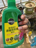 美乐棵植物通用营养液磷酸二氢钾花肥肥料绿萝发财树植物营养液500ML 实拍图