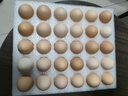 京鲜生【每日鲜蛋】无抗谷物鸡蛋30枚 3.18斤 当日产蛋 当日发货 实拍图
