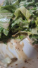 今明后 沙拉酱焙煎芝麻沙拉汁蔬菜沙拉大拌汁水果轻食调味品 800ml*1瓶 实拍图