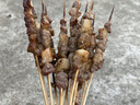 鲜京采内蒙古原切羔羊肉串2斤 （50串）烧烤食材 露营户外 京东自有品牌 实拍图