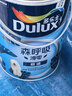 多乐士（Dulux）森呼吸淳零护敏护哮喘竹炭全效抗菌无添加儿童漆 油漆乳胶漆A8207 套装 白漆 不可调色 15L*1件 实拍图