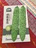 北蔬绿苦瓜种子苗肉厚凉瓜耐热易种活四季蔬菜种籽 绿秀苦瓜种子10粒 实拍图