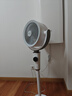 艾美特（AIRMATE）【小暴风PRO】空气循环扇家用大风力摇头电风扇卧室安静轻音小风扇桌面台式节能落地扇电扇 X231 实拍图
