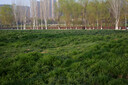 松下（Panasonic）Lumix S5M2 全画幅相机 L卡口 微单相机 无反数码相机 【50mm F1.8 白盒】套装 实拍图