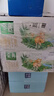 伊利金典 双限定娟姗纯牛奶锡林郭勒牧场整箱250ml*12盒 礼盒装 实拍图