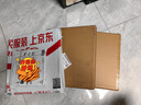 Nakabayashi仲林NCL相册6寸纪念册600张插页式影集NHFP-766641 小恐龙600张 实拍图