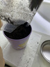 IAM City Farmer牵牛花迷你盆栽 儿童种植小盆栽diy套装植物幼儿园陪伴盆栽10028 实拍图