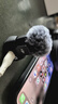 大疆 DJI Mic Mini 迷你无线高品音质 降噪领夹麦克风  【安卓+苹果全系列】手机版全能版 一拖一 实拍图