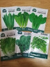 北蔬 蔬菜种子种苗大全生菜香菜菠菜春季阳台菜籽 6种叶菜类蔬菜种子 实拍图