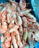 禧美海产加拿大熟冻北极甜虾1斤/袋 65-85只 (MSC认证) 海鲜水产 轻食海鲜 实拍图