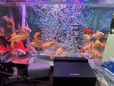 彻朗鱼缸氧气泵超静音增氧机家用增氧泵养鱼专用静音打氧泵大功率6w 晒单实拍图