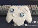 飞智冰原狼4多模版无线游戏手柄 类xbox 力调节摇杆双切扳机 switch电脑PC手机steam体感NS 仁王3 实拍图