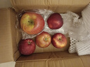2025年现摘现发甘肃天水花牛苹果新鲜红蛇果粉面生鲜脆甜多汁A14 带箱3斤  果径65-70mm 实拍图