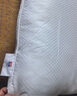 富安娜 枕头芯低枕酒店枕头全棉面料抗菌枕头芯纤维软枕芯一对装74*48cm 实拍图