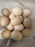 京鲜生【供港品质】【每日鲜蛋】无抗谷物鸡蛋30枚3.78斤当日产蛋当日发 实拍图