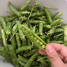 中鲜生 云南新鲜豌豆 甜豌豆新鲜蔬菜现摘豆角 净重3斤装【尝鲜装】鲜嫩饱满 实拍图