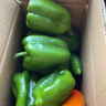 新鲜青椒菜椒圆椒水果椒现摘现发京东快递 山东精品菜椒3斤净重 实拍图