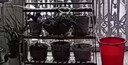 九千谷智能自动浇花机懒人浇花定时神器盆栽园林绿植喷洒滴灌滴水器9903 实拍图