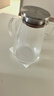 富光大容量凉水壶耐高温冷水壶家用玻璃水壶茶壶果汁杯1600ML家居壶 实拍图