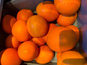 京鲜生 当季鲜橙 净重10斤 铂金果 单果180g起 生鲜水果橙子礼盒 实拍图