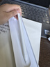 Apple/苹果 Pencil(USB-C) 磁吸触控笔手写笔苹果笔电容笔ipad笔 适用iPad 11/mini/Pro/Air 实拍图