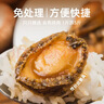 海鼎纪三去鲍鱼肉 净重250g（10-14粒）新鲜鲍鱼速冻 火锅 实拍图