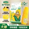 华田禾邦【大棒6根】东北黄糯玉米2.4~3斤 新鲜甜黏玉米粒 早餐苞米 烧烤 实拍图