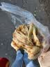 早庆云南特产破酥包子银丝花卷玉米青稞粑粑儿童早餐面点加热即食成品 早庆-玫瑰破酥花卷3袋【共80g*18个】 实拍图