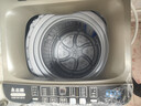 志高（CHIGO）全自动洗衣机 家用小型波轮 洗脱一体机大容量 公寓宿舍出租房 加厚款 波轮 10kg 【蓝光洗护+风干洁桶+强电机】 实拍图