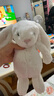 Jellycat害羞乳白色邦尼兔动物毛绒玩偶安抚玩偶娃娃送礼生日礼物 害羞乳白色邦尼兔 Medium 实拍图