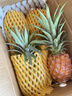 田园东方 ORIENT IDYLL海南凤梨（带叶） 应季时令水果非纯甜（表皮变黄再食用）带箱 5斤金钻凤梨小果净重4.5斤 3-5只 实拍图