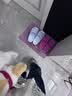 chikoku猪小可卡通可爱小粉猪拖鞋女夏季居家厚底防滑情侣凉拖鞋男外穿 实拍图