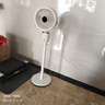钻石牌电风扇空气循环扇落地扇涡轮换气扇循环风扇落地大风量立式节能电扇蓝牙AI语音遥控FS-2401CYV-3D 实拍图