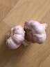 京鲜生云南紫皮鲜蒜 净重3斤 大果4.5-5cm湿蒜带泥大蒜多瓣蒜 源头直发 实拍图