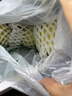 京鲜生 广东树熟软糯奶油芭乐 净重2.5斤装单果150g+ 番石榴 源头直发 实拍图